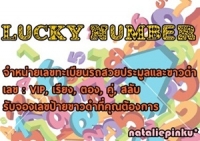 จำหน่ายทะเบียนประมูลขาวดำ ทะเบียนเลขสวย Vip เรียง คู่ สลับ ค่ะ